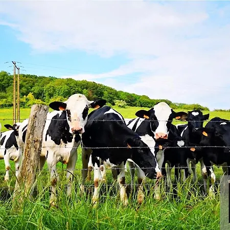 Appartamento Cosy Normandy - 01